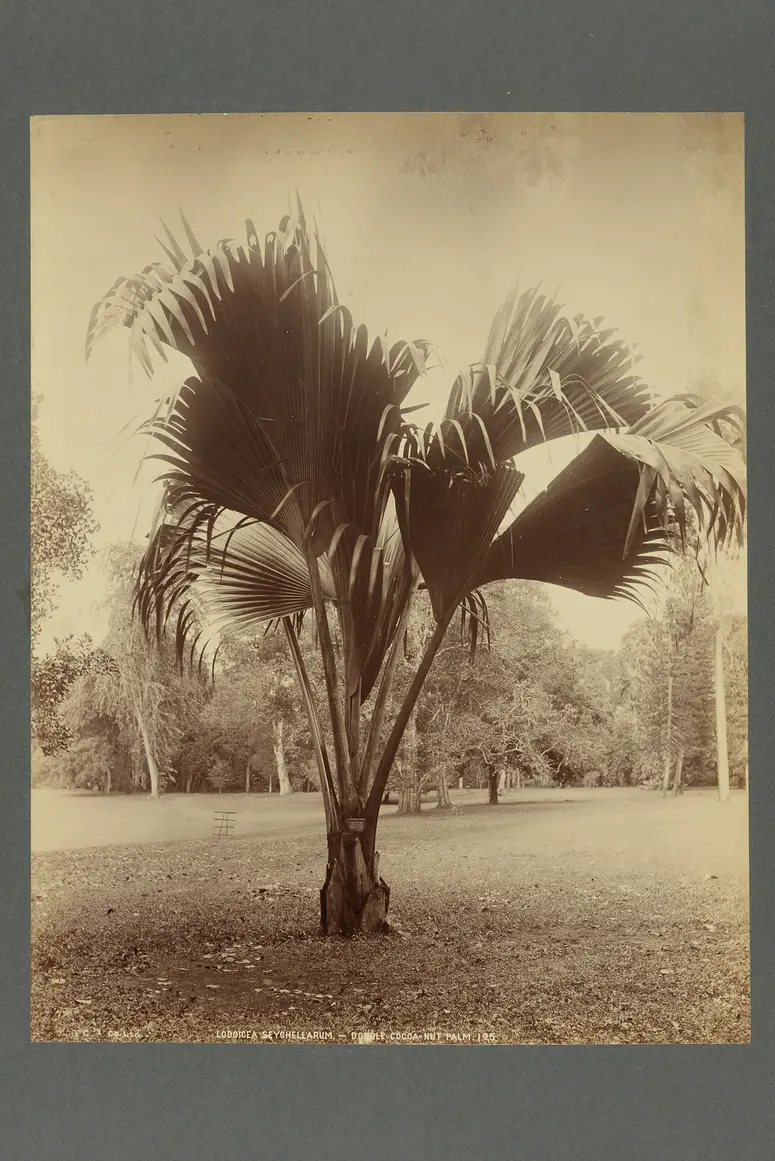 Abzug