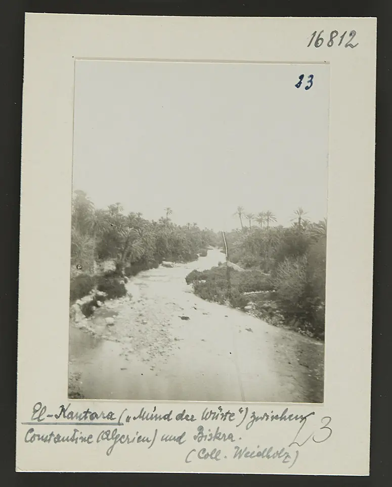 El Kantara (Mund der Wüste) zwischen Constantine und Biskra