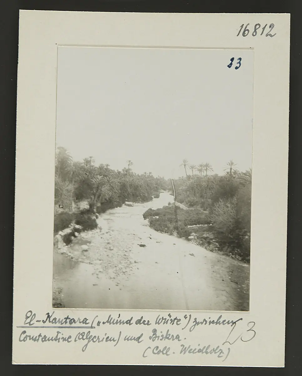 El Kantara (Mund der Wüste) zwischen Constantine und Biskra