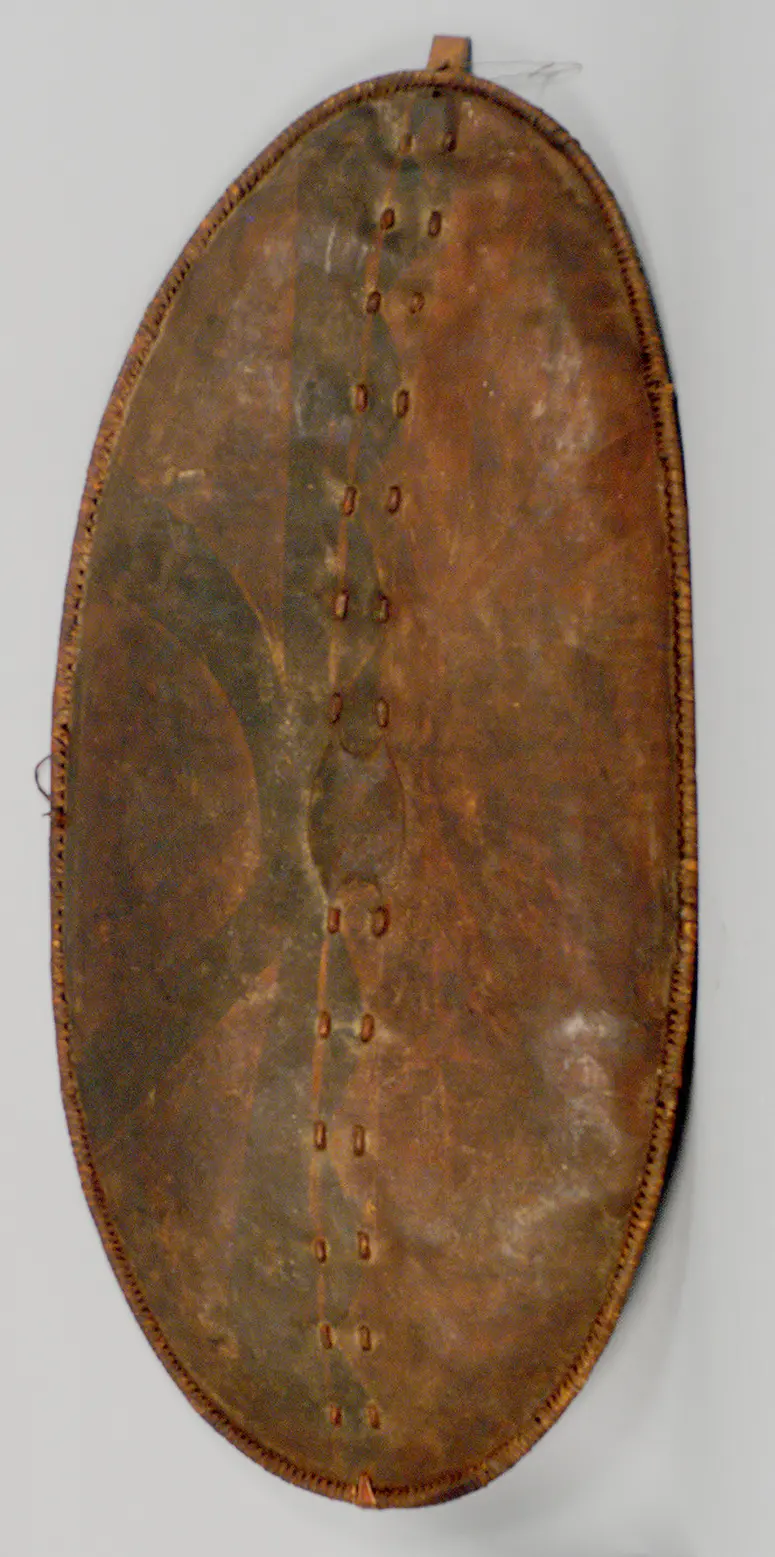 Shield