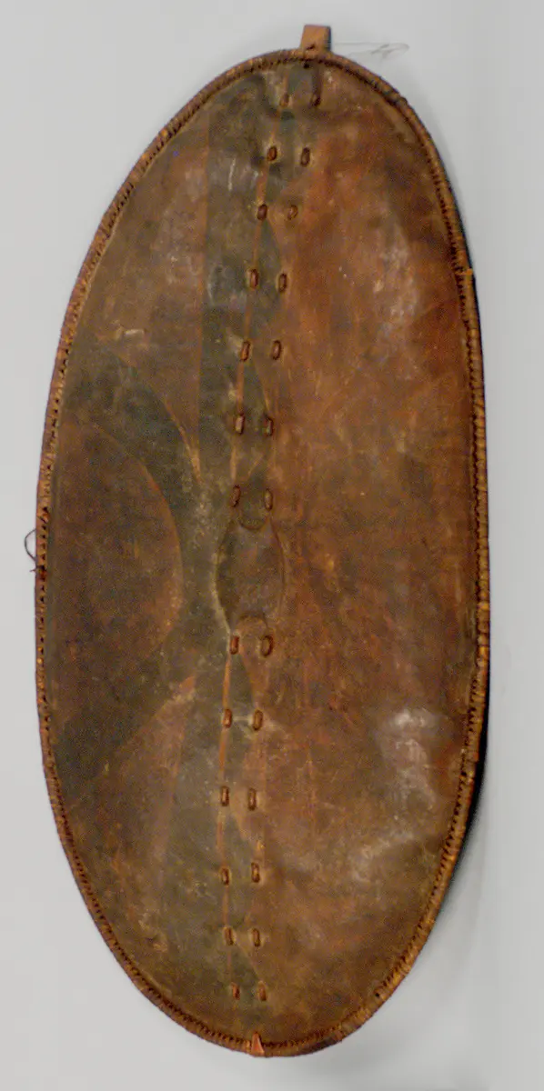 Shield