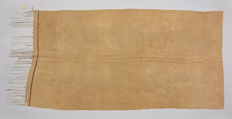 Cloth