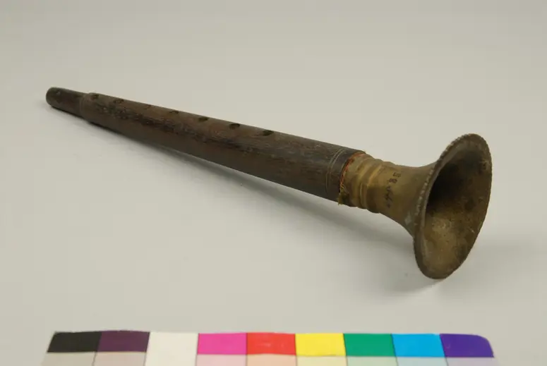 Musikinstrument, Shanayi