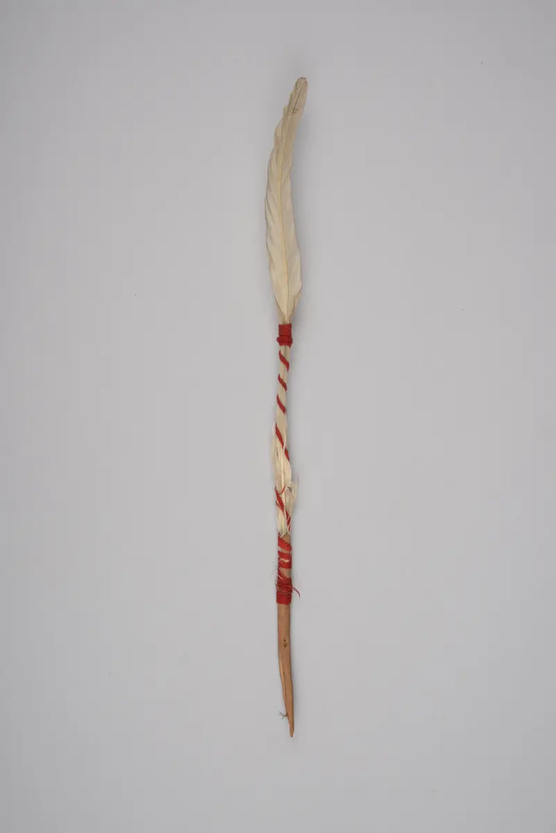 Zierfeder