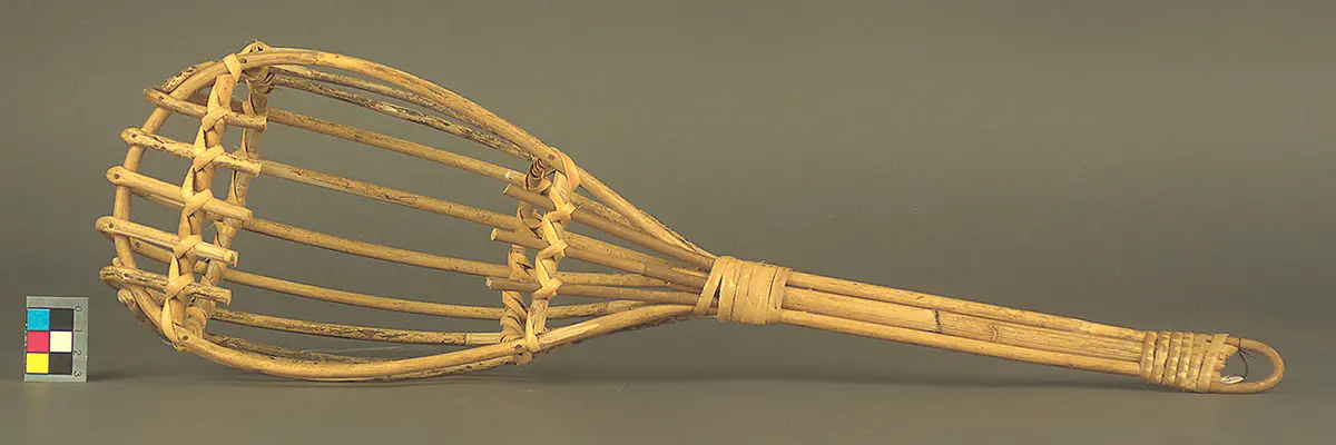 Mangopflücker