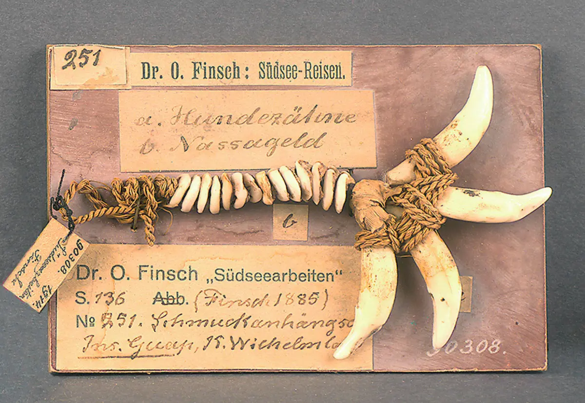 Pendant with four dog teeth