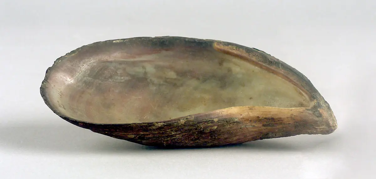 Bowl for blending body colour