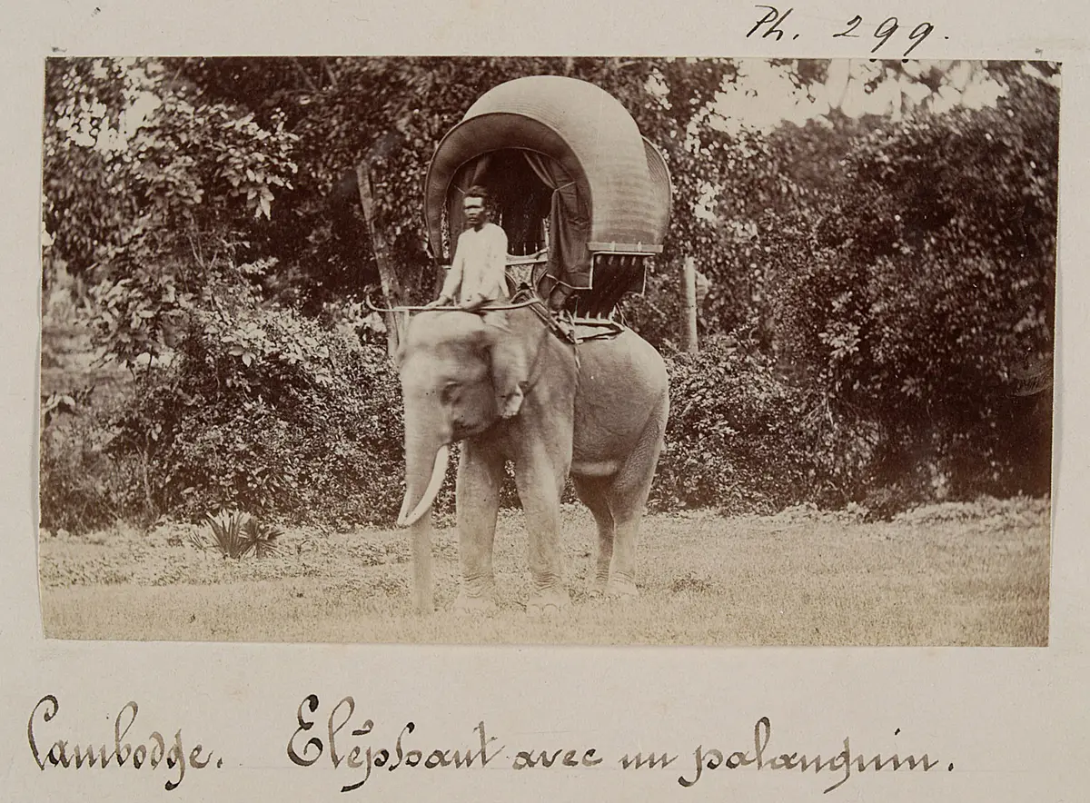 Elefant mit einem Palankin