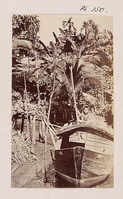 Cochinchine: Paysage