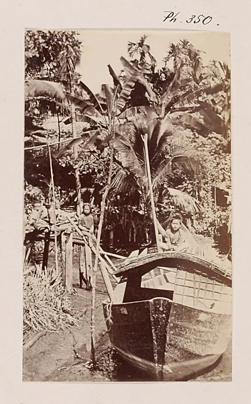 Cochinchine: Paysage