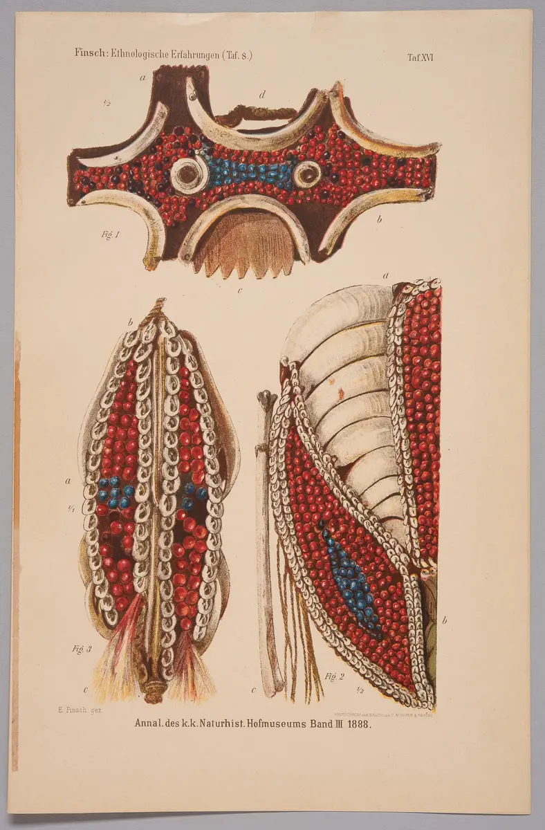 Finsch-Illustration Nr. 3 (Druckgrafik)