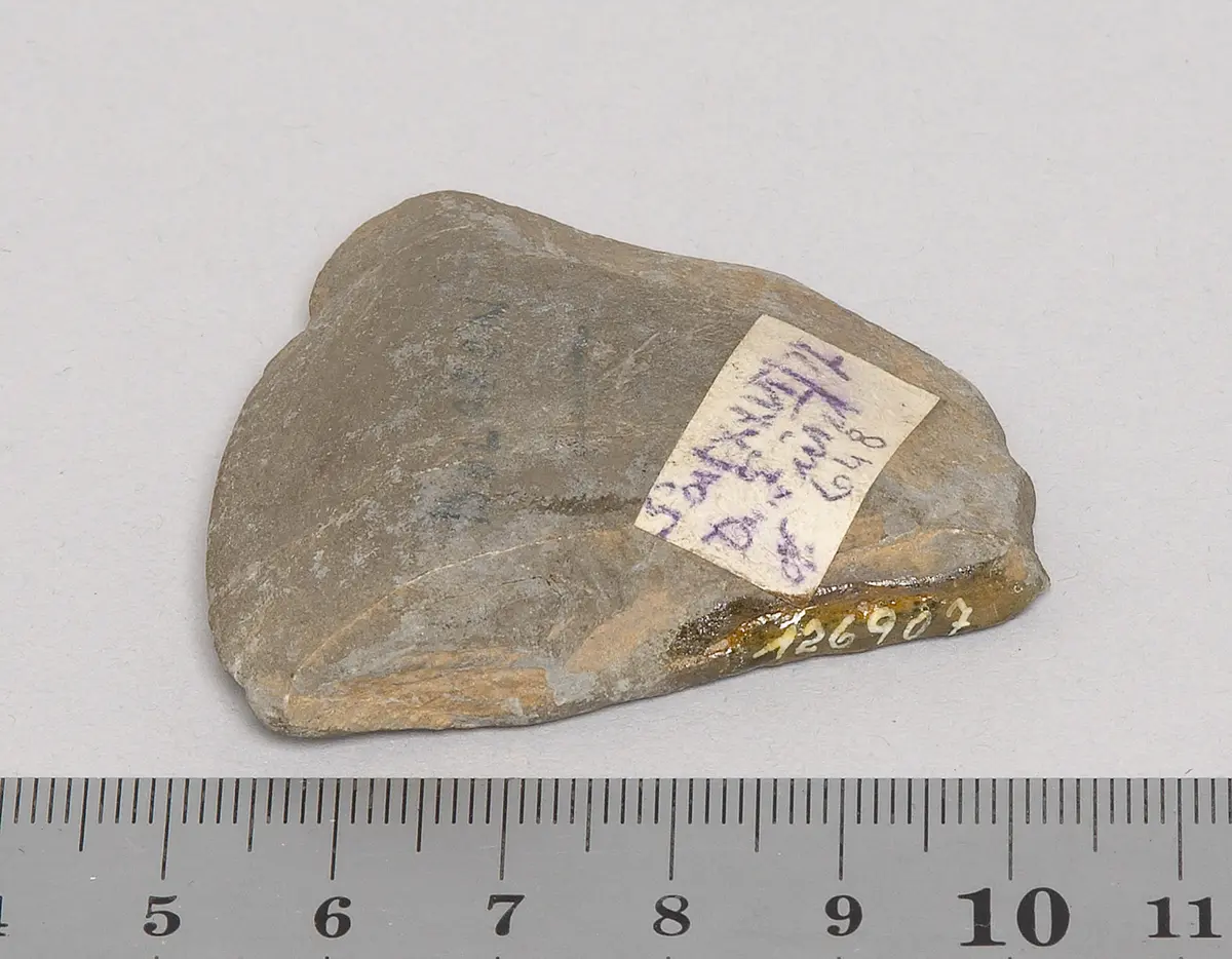 Steinbeil