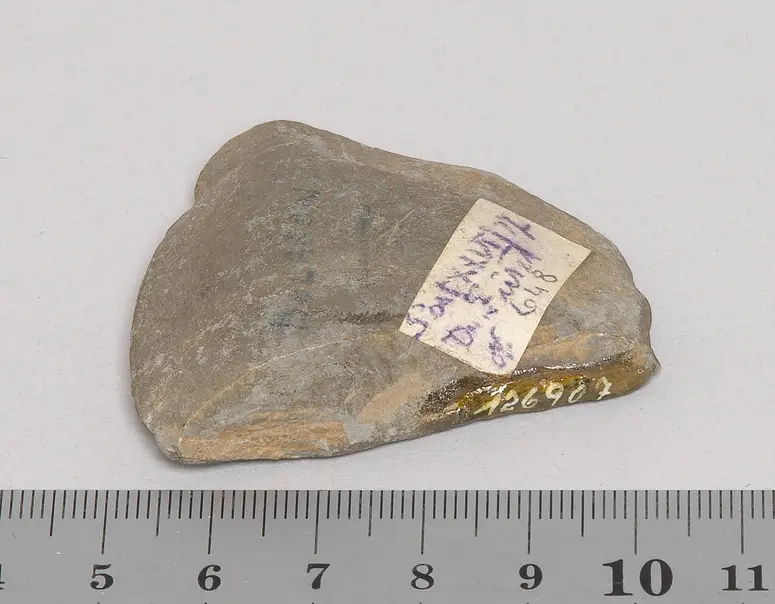 Steinbeil