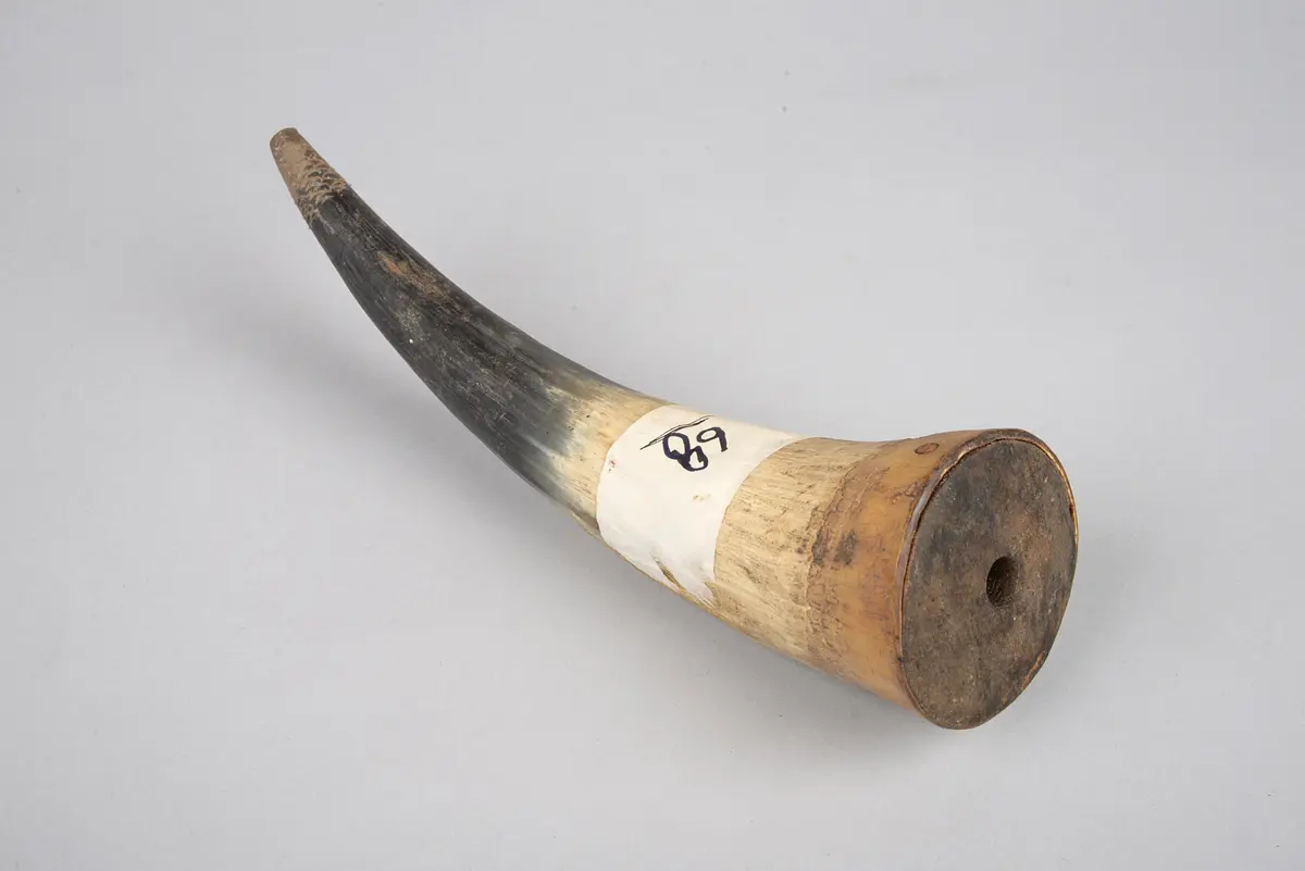 Horn (Medikament) 