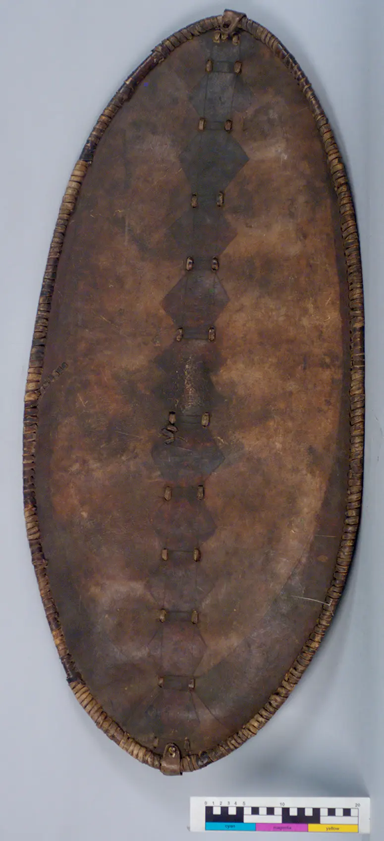 Shield