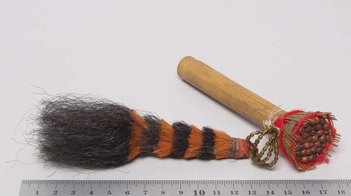 Ear ornament