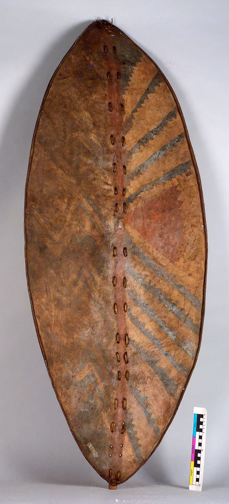 Shield