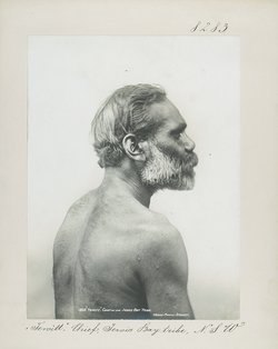 "Tewitt", Chief, Jervis Bay tribe, N.S.W.