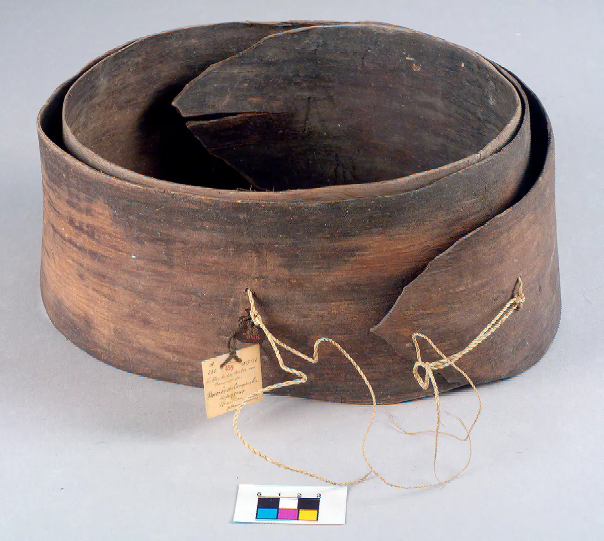 Belt