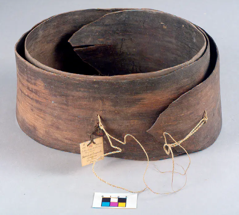 Belt
