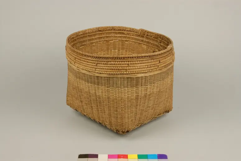 Fish basket