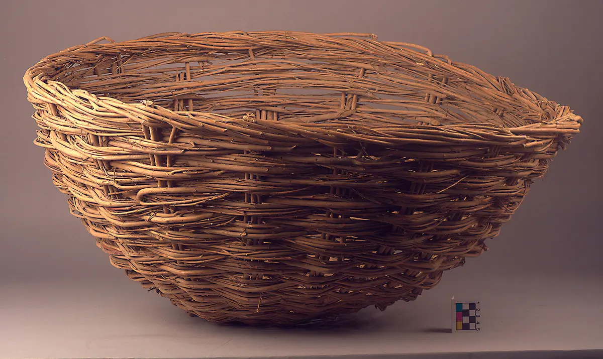 basket