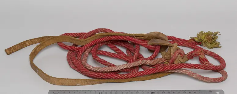 Zügel