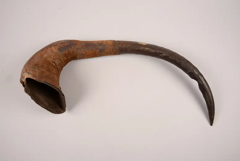 Blasinstrument