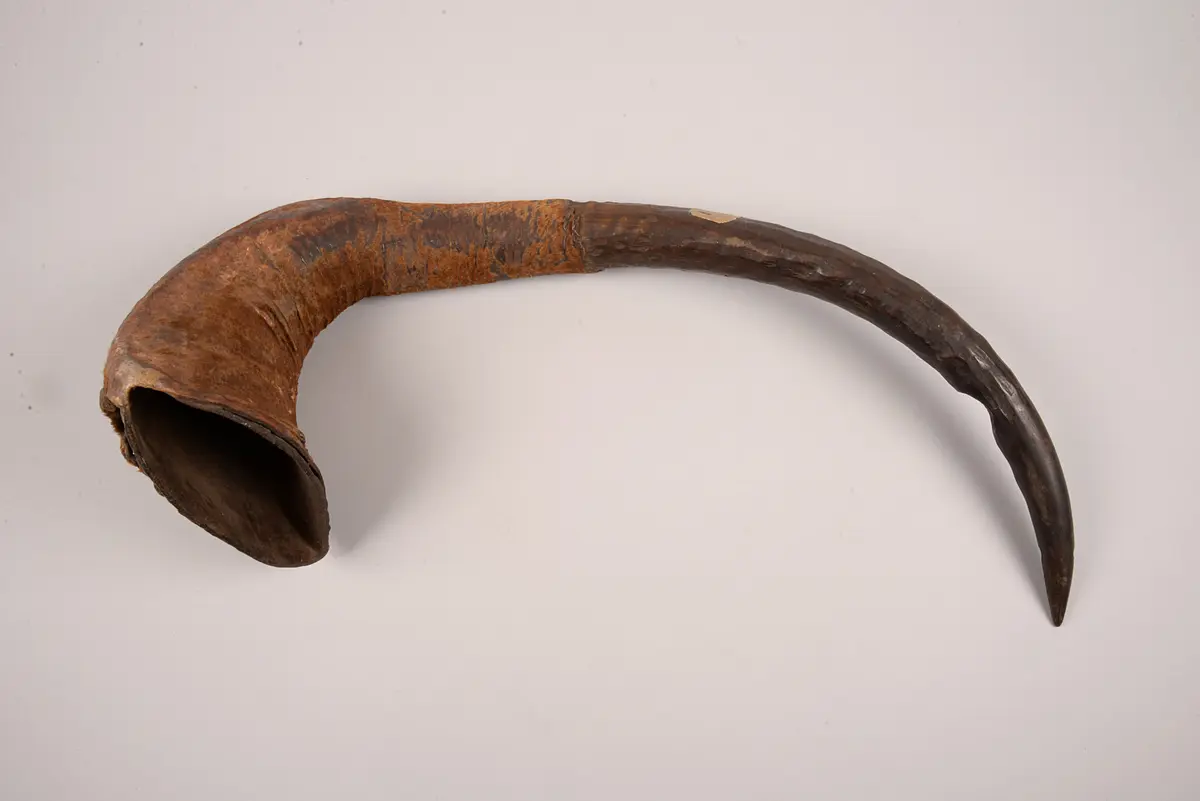 Blasinstrument