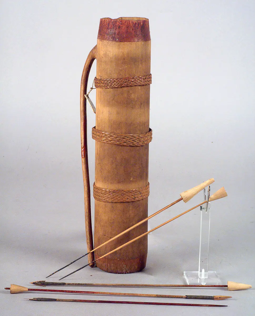 Dart quiver with blowpipe darts