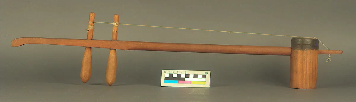 Saiteninstrument