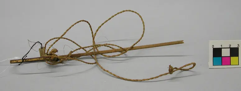 Vogelschlinge