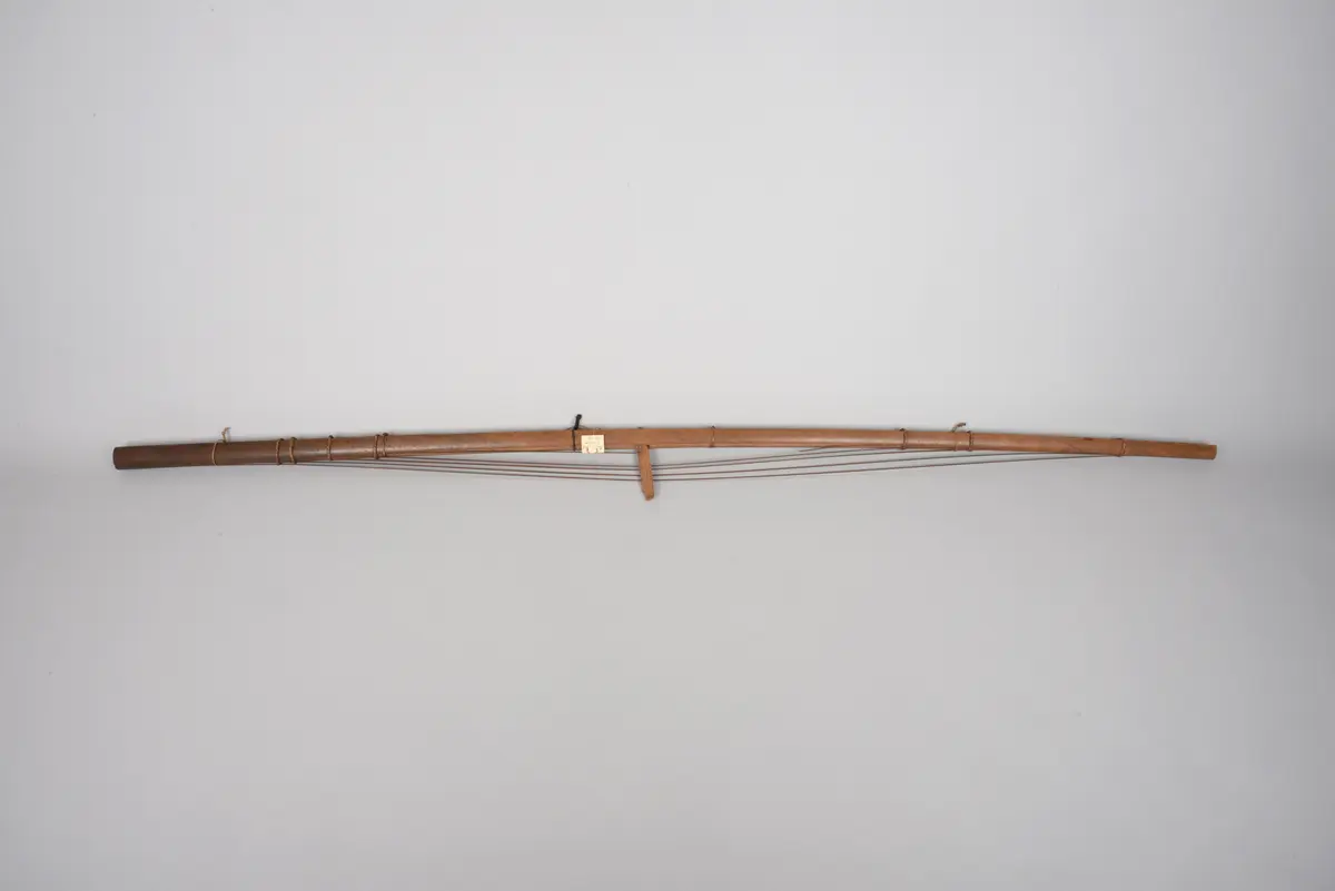 Instrument: Zither (fehlender Resonanzkörper)