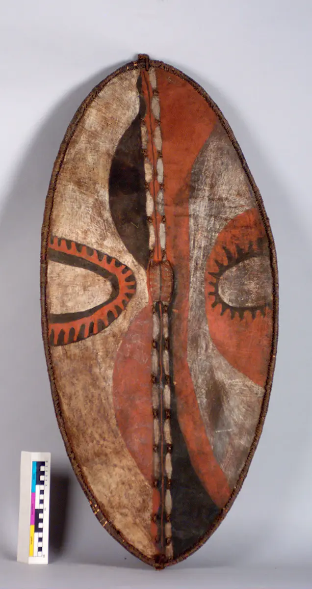 Shield