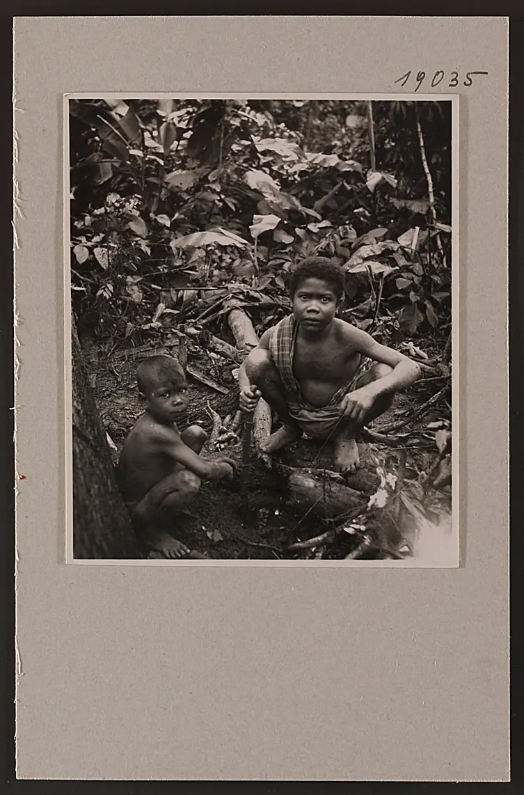Digging for Roots