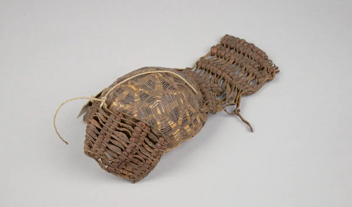 Schildkrötenpanzerbehälter