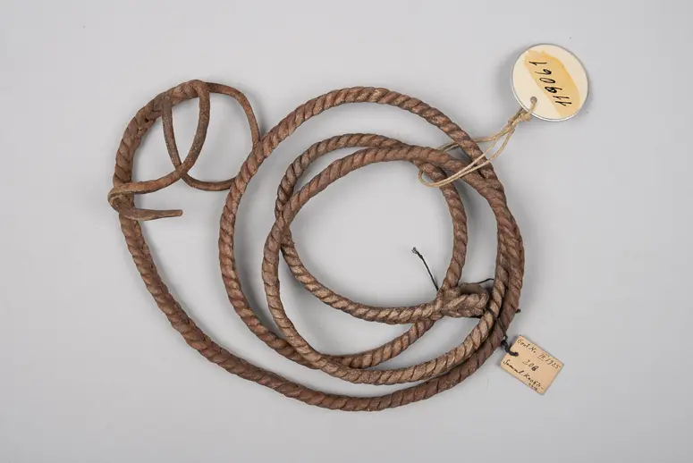 Braided Leather Strap