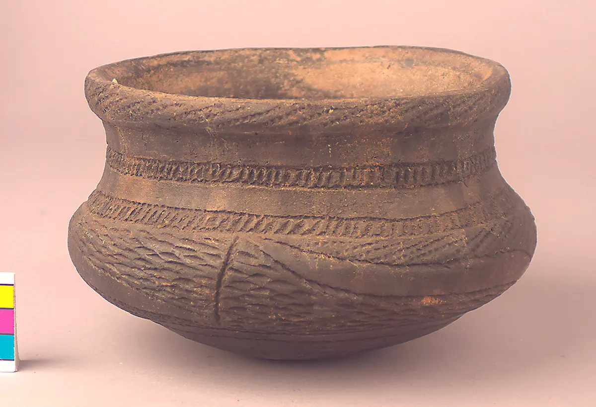 Cooking Pot