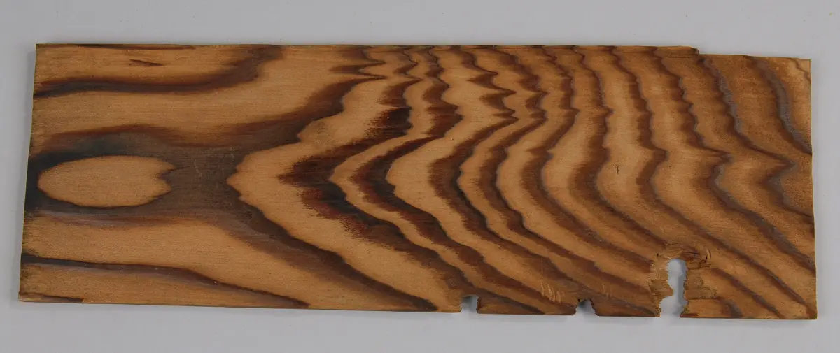 Holzsorte
