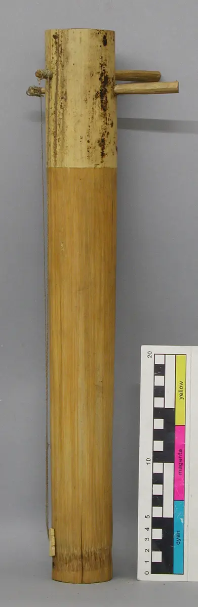 Saiteninstrument