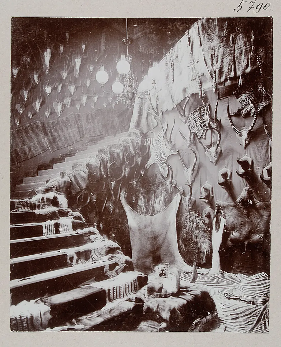 Teil der Jagdbeute, ausgestellt auf der Deutschen Geweih-Ausstellung; Geweihe u. Felle