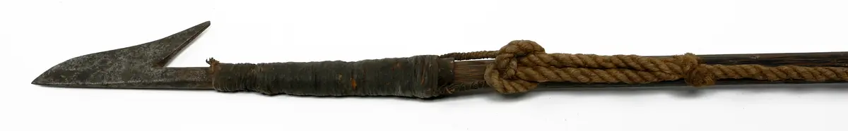 Harpoon