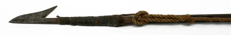 Harpoon