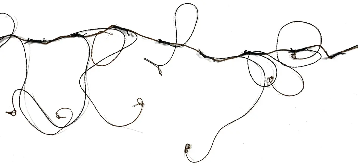 Noose trap for birds