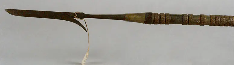 Hunting spear