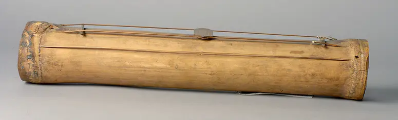 Musikinstrument: Vollröhrenzither
