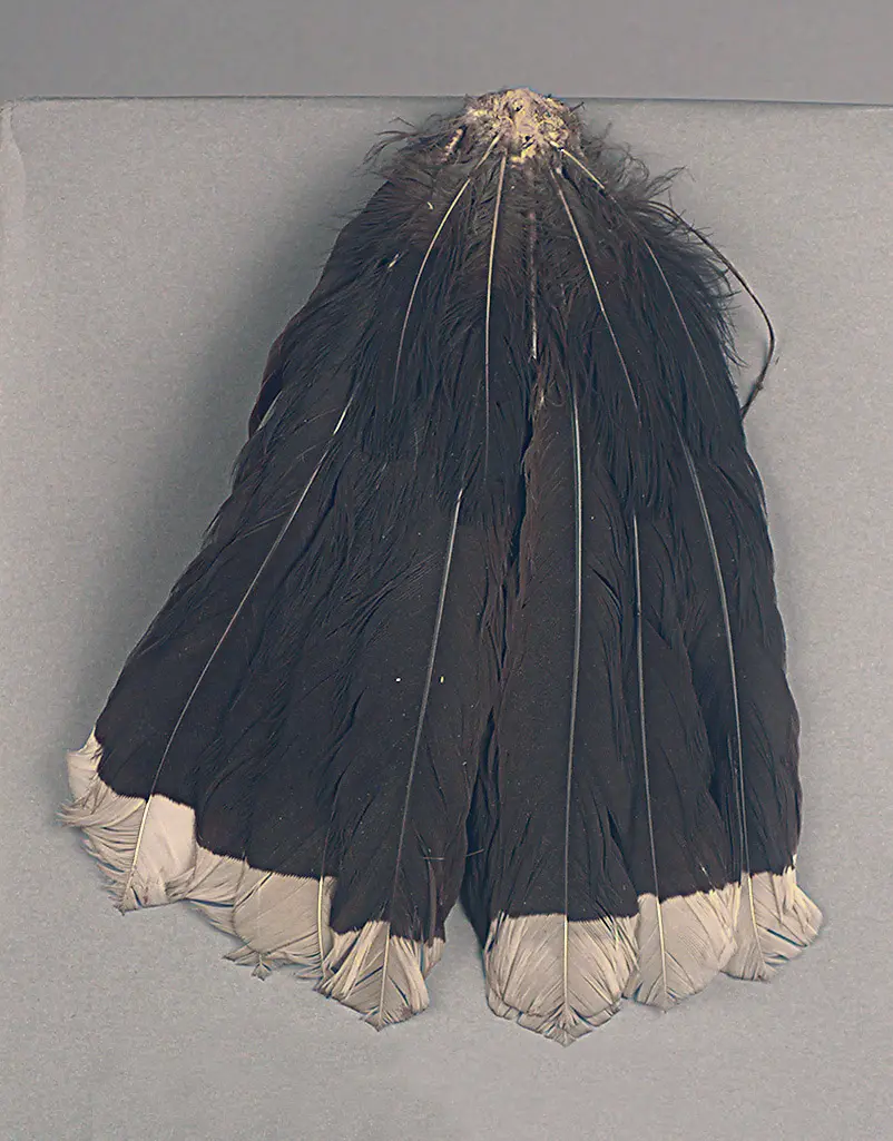 Federkopfschmuck