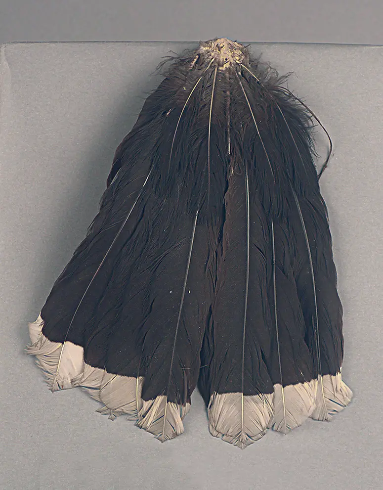 Federkopfschmuck