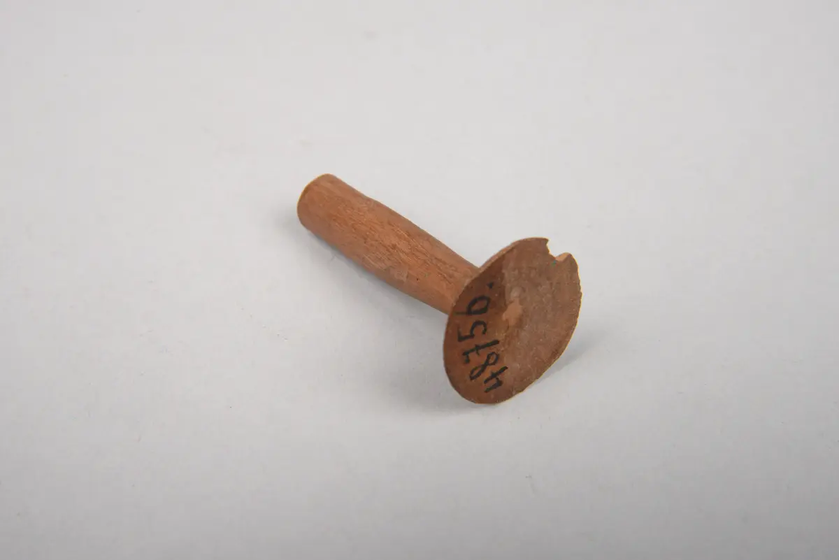 Ohrschmuck für Frauen