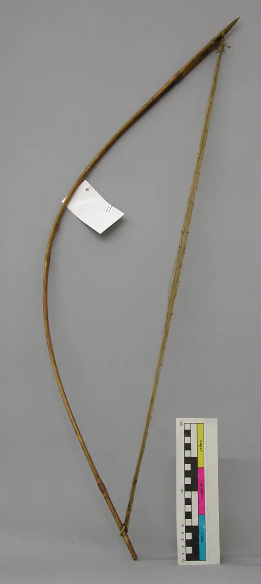 Vogelfalle